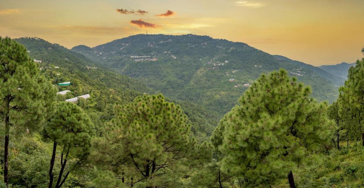 The Western Heights I Serviced Apartments I Pvt Balcony I Lift I Peacefull Area I Family Accomodation I Kasauli I By Exotic Stays Luaran gambar