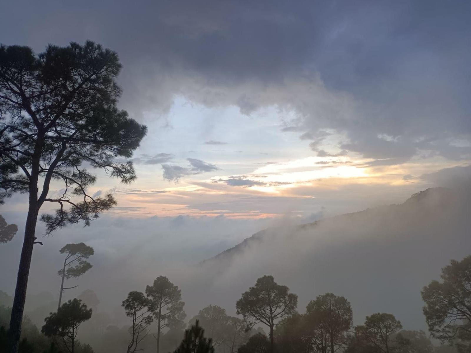 The Western Heights I Serviced Apartments I Pvt Balcony I Lift I Peacefull Area I Family Accomodation I Kasauli I By Exotic Stays Luaran gambar